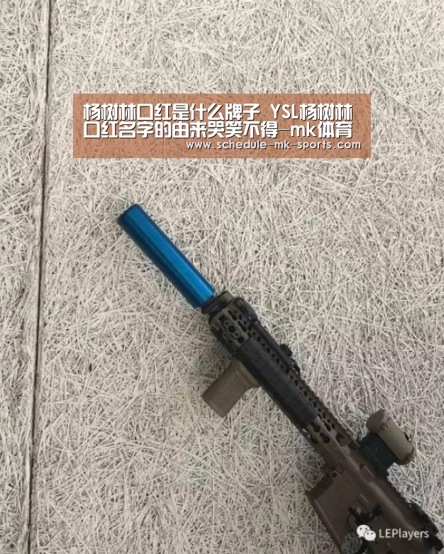 杨树林口红是什么牌子 YSL杨树林口红名字的由来哭笑不得-m