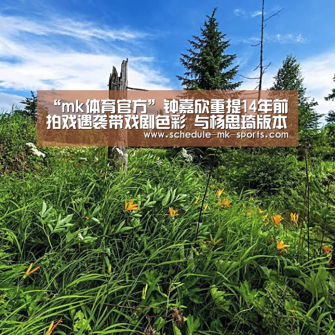 mk体育官方