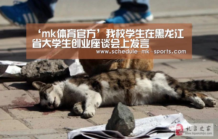 mk体育官方