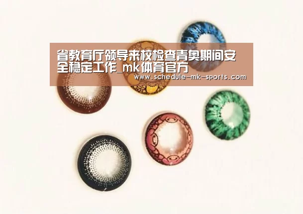 省教育厅领导来校检查青奥期间安全稳定工作_mk体育官方