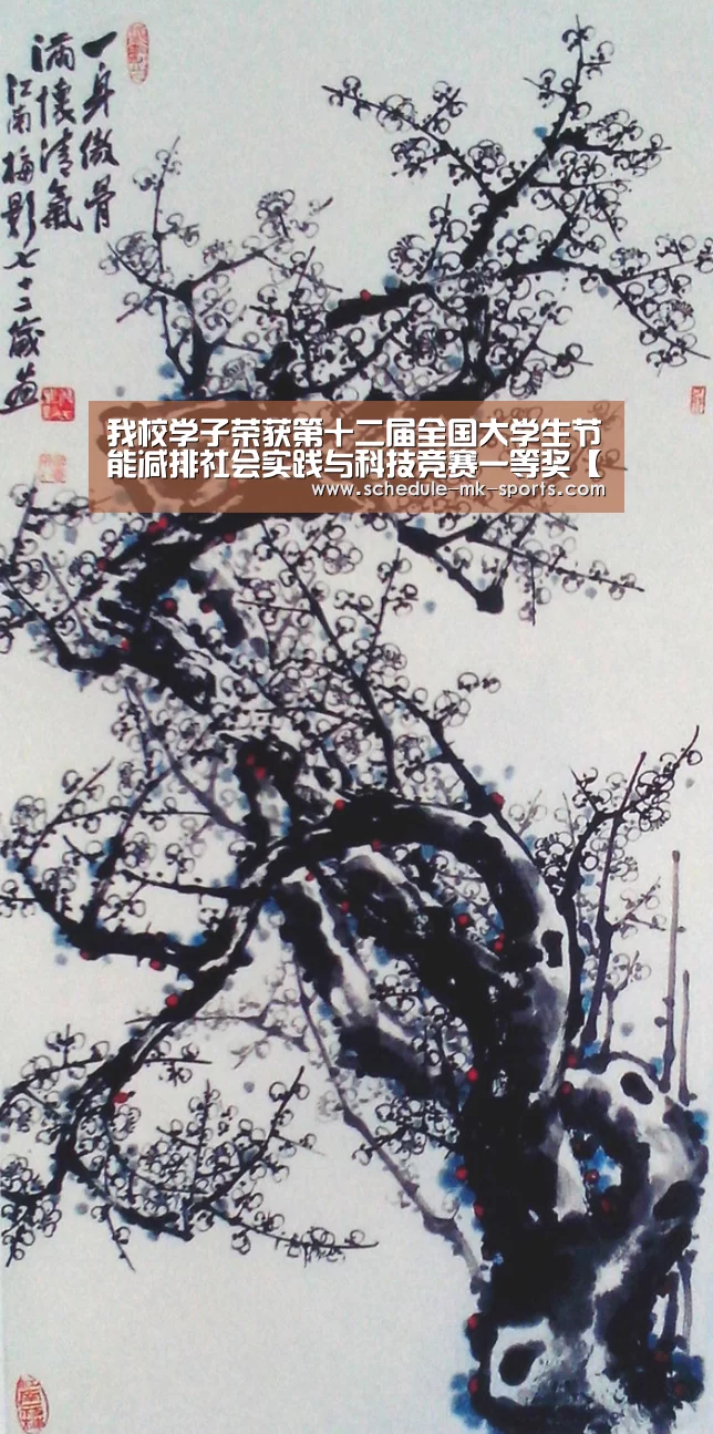 我校学子荣获第十二届全国大学生节能减排社会实践与科技竞赛一等