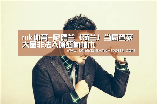 mk体育-尼德兰（荷兰）当局查获大量非法入境缅甸柚木