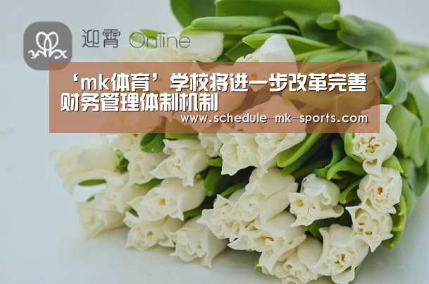 mk体育官方