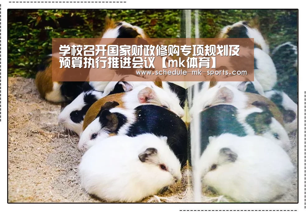 学校召开国家财政修购专项规划及预算执行推进会议【mk体育】